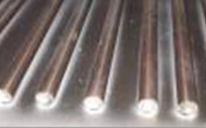 Climate Standards Enviromental Oven (9)